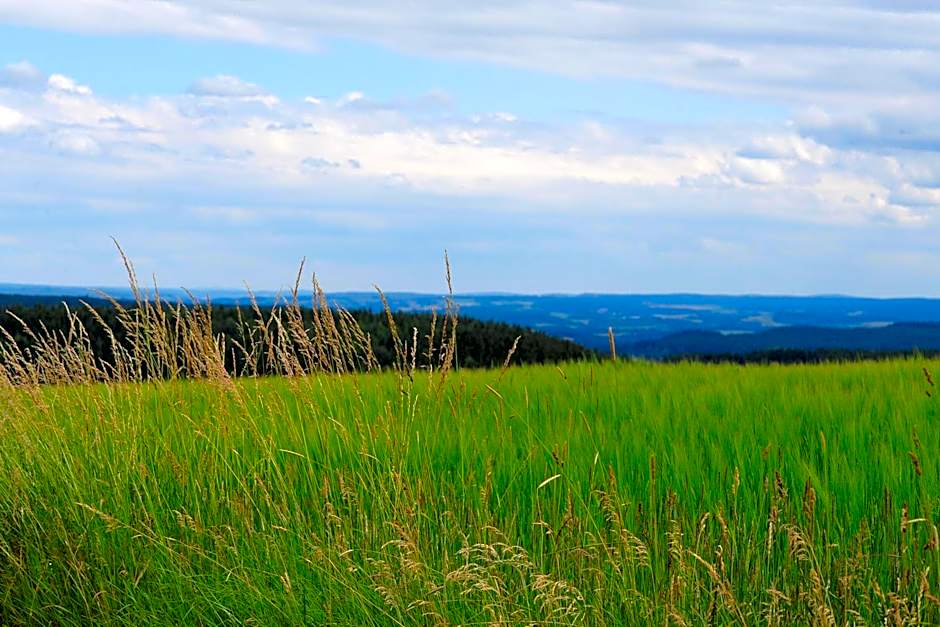 Landhotel Plauen - Gasthof Zwoschwitz