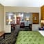 Quality Suites Addison-Dallas