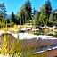 Arosea Life Balance Hotel
