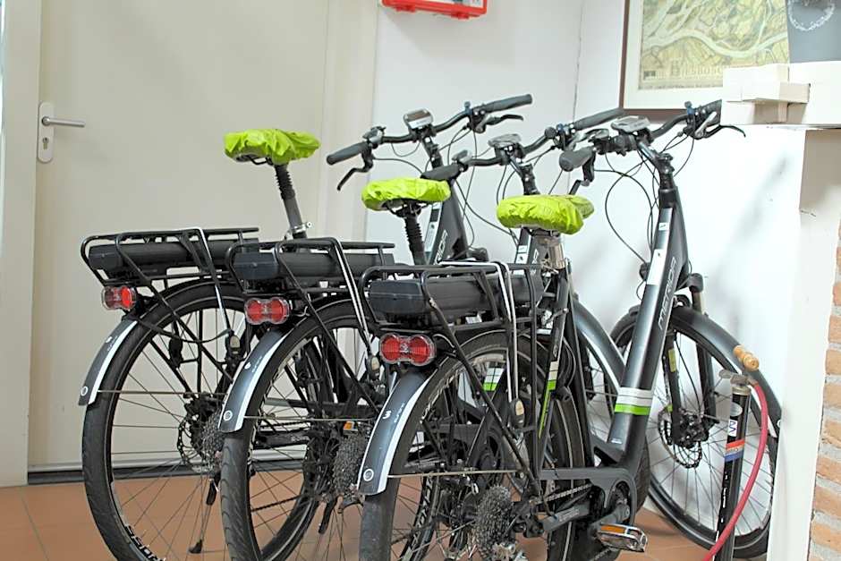 de Brabantse Biesbosch