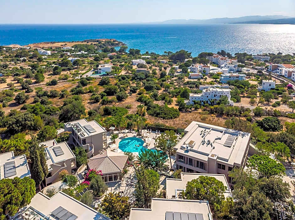 White Olive Premium Lindos