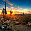 Holiday Inn Express Hotel & Suites Scottsdale - Old Town