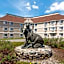 Black Bear Inn, an Ascend Collection Hotel