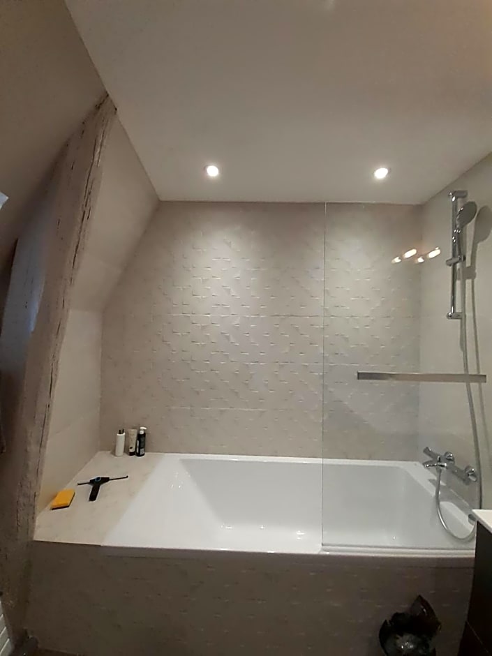 Centre ville, chambre indépendante 20m2 et sa salle de bain privée