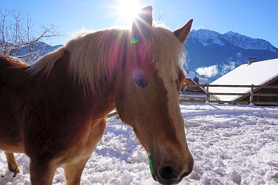 nawu apartments & Restaurant