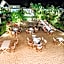 Dhow Inn Boutique Hotel