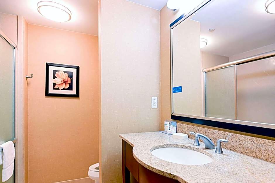 Hampton Inn By Hilton And Suites Smithfield