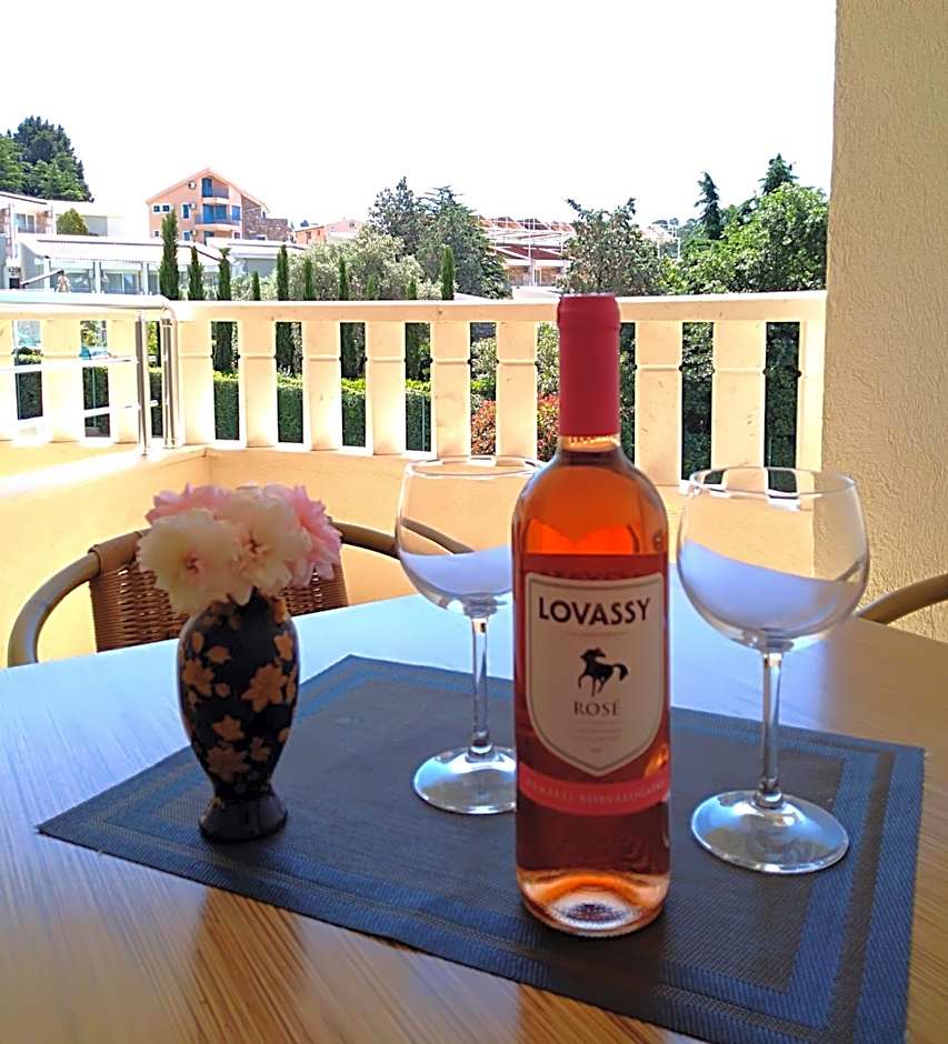 Vila V Lux Apartments