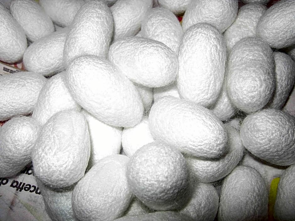 Agriturismo Campo Aperto