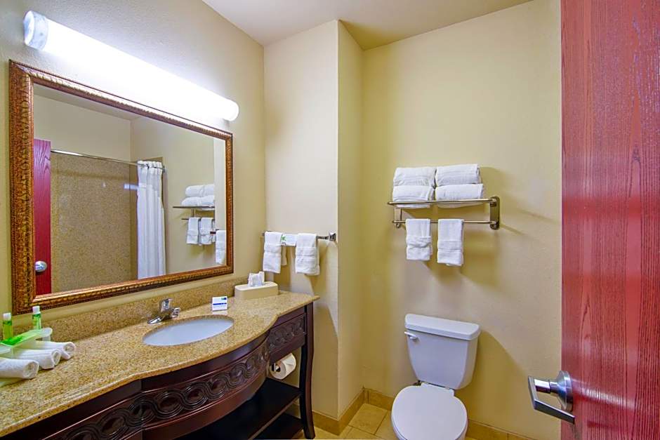 Holiday Inn Express Hotel & Suites Terrell By IHG