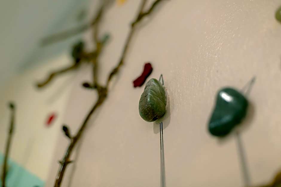 Hotel Galaxy Sea & Sky