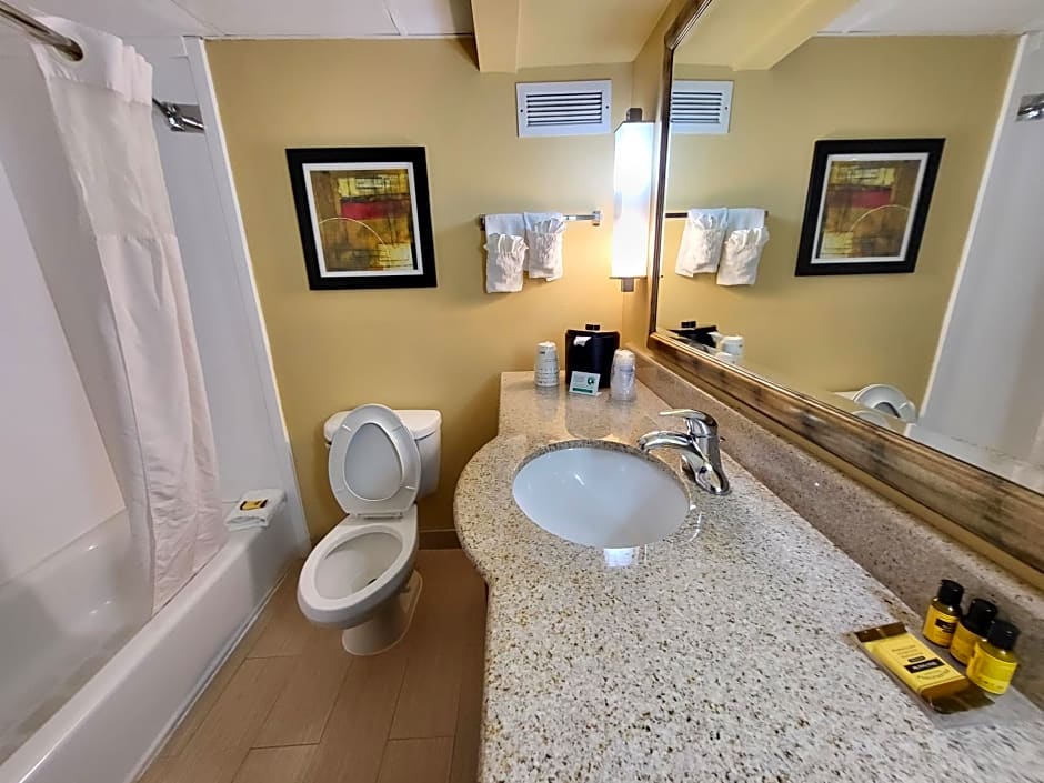 Wingate by Wyndham Greensboro-Coliseum