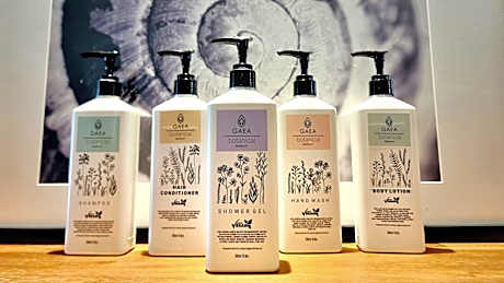 1 King Standard City View Sofa Bed