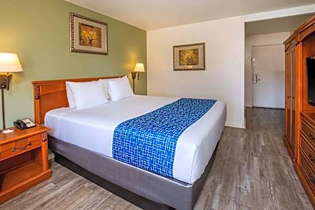 1 King Bed Pool View Ground Floor Non-Smoking