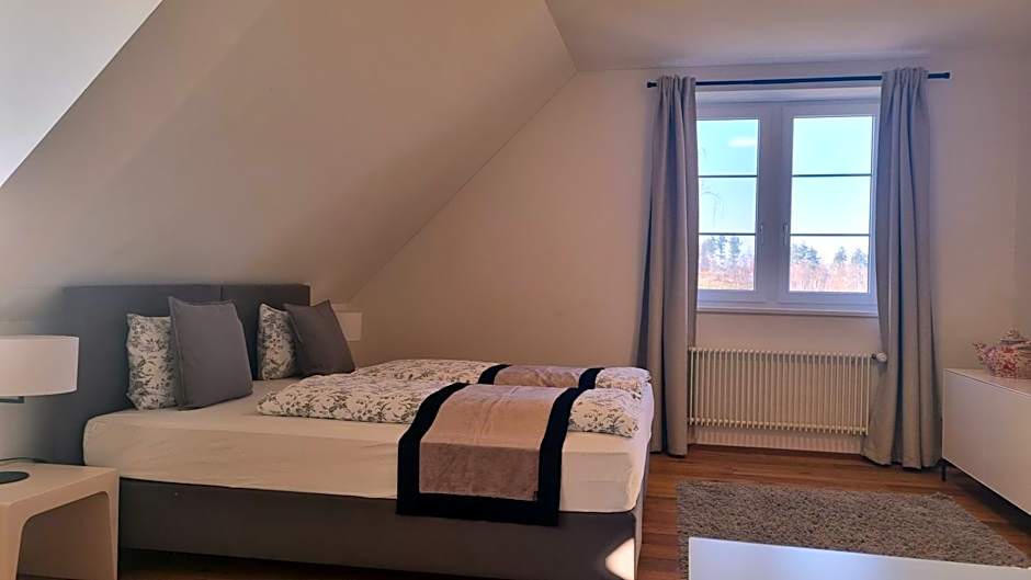 Hotel & Restaurant Schloss Schwandegg