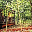 Selva de Laurel