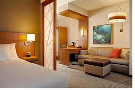 Queen Bed One Bedroom Suite (with sofa bed)