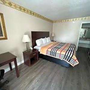 Rodeway Inn New Port Richey