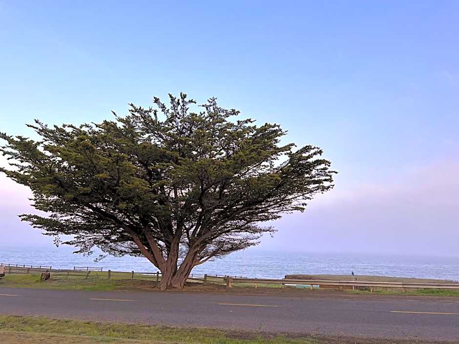 Inn of the Lost Coast
