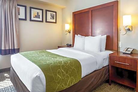 1 Single Bed, Nonsmoking, Accessible