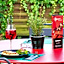 ibis Hotel Regensburg City
