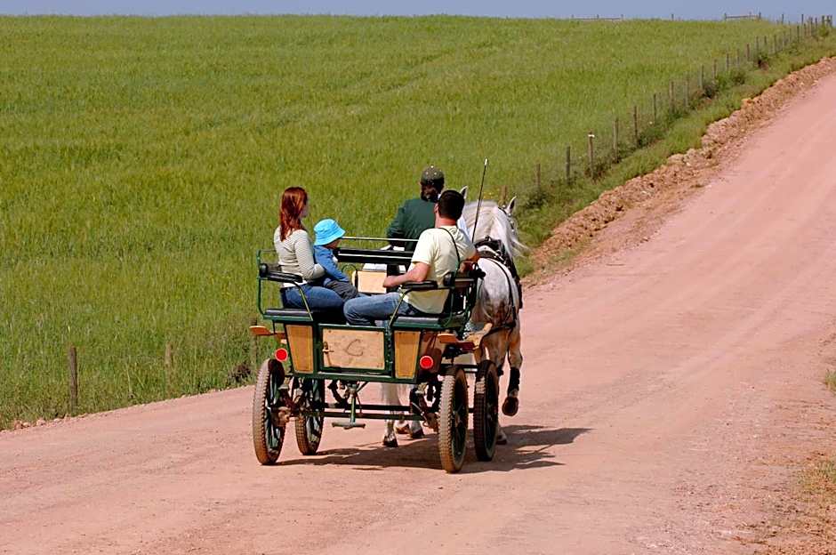 Vila Gale Alentejo Vineyard - Clube de Campo