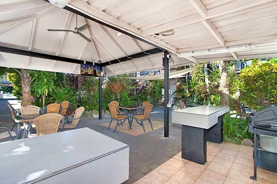 Cairns City Palms