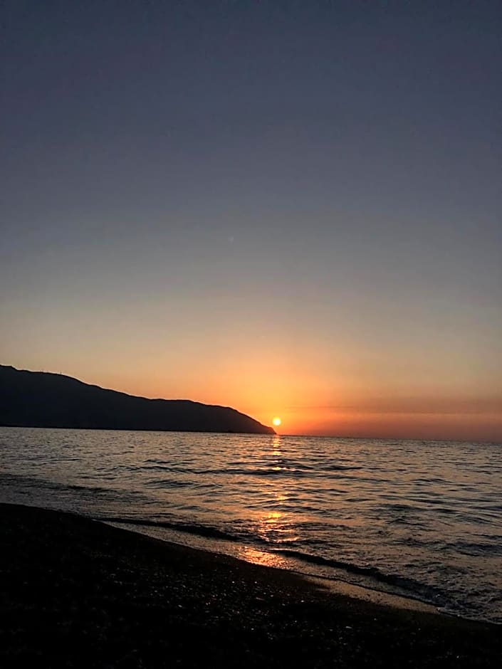 Medimare Residence Club