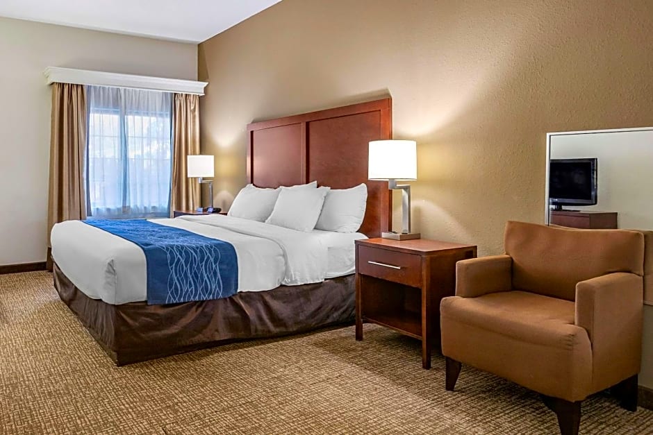 Comfort Inn Downtown - University Area