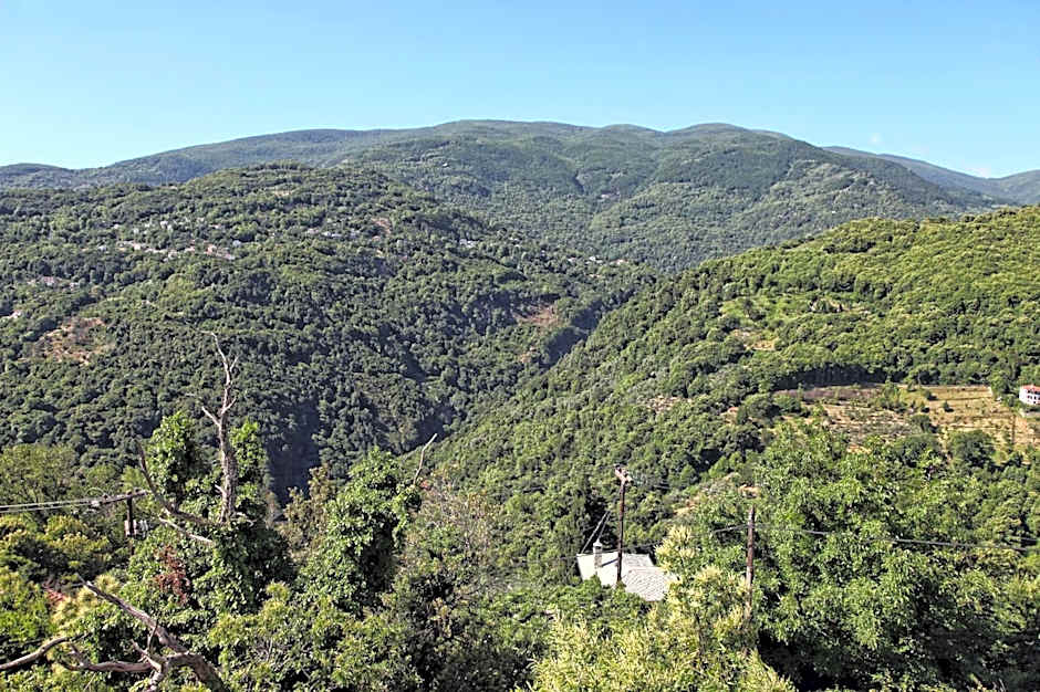 Theta Hotel Pelion
