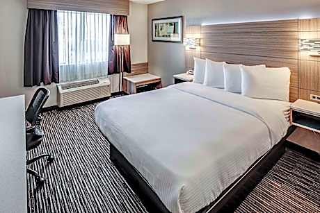 1 King Mobility Accessible Roll In Shower Microwave Fridge Wi-Fi Non-Smoking Full Breakfast