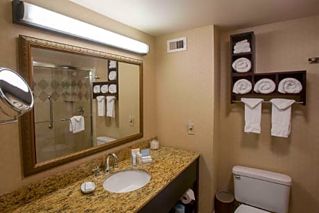 1 King Mobility Hearing Accessible Roll In Shower Studio Non-Smoking