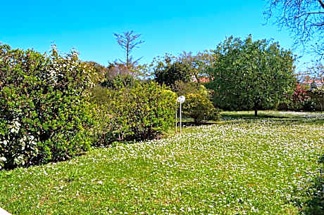 Family Suite (2 Adults + 2 Children)