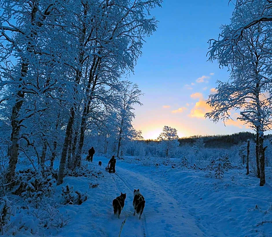 Vestvatn - Arctic Cabins