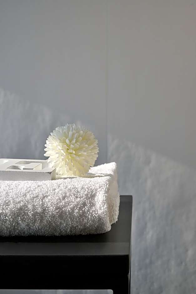 RMH Modena Raffaello