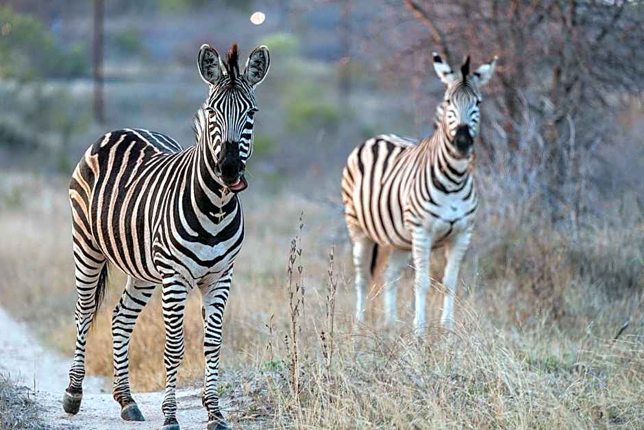 Rhino's Rest Private Luxury Villa