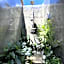 Wild Monkeys Hostel