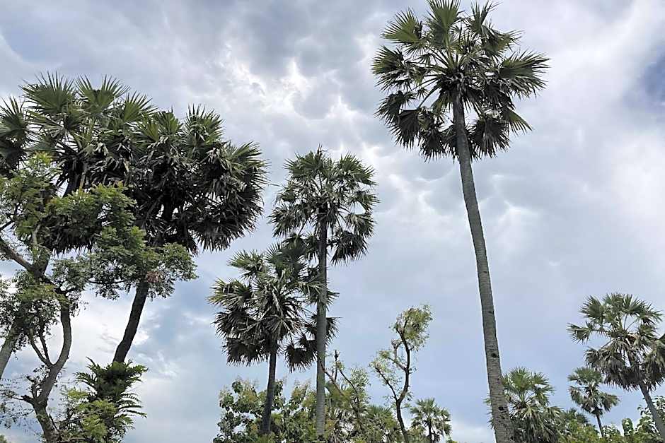 Hotel O Desa Wisata Dalegan