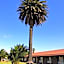 The Finley Palm Motor Inn