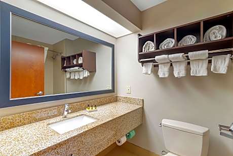 King Suite with Sofa Bed - Non-Smoking