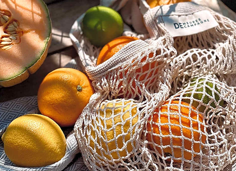 Hotel Demeures de Campagne Château de Fontainebleau