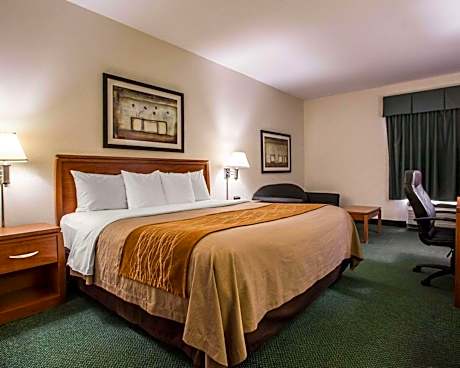 1 King Bed Nonsmoking Accessible