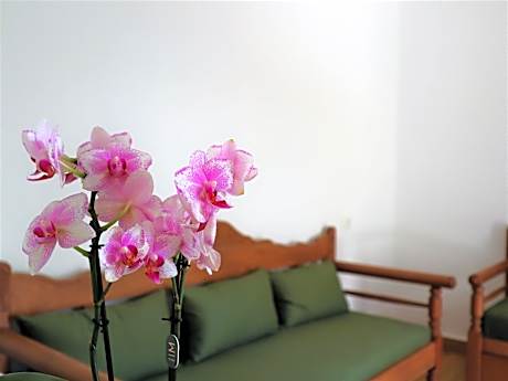 ΤΟ ΚΑΜΙΝΙ ΤΟΥ ΜΗΛΑ