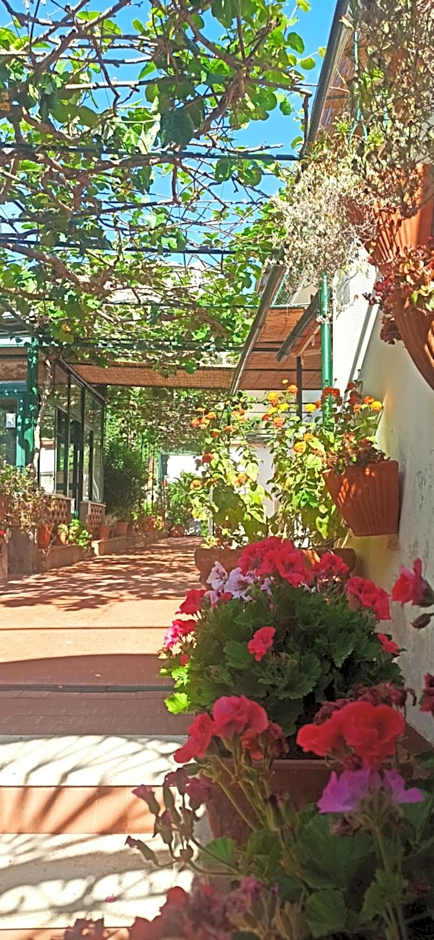 Villa dei fiori B&B