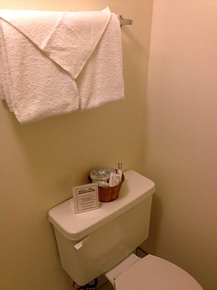 Twin Pine Inn & Suites