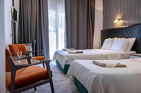 DOUBLE SINGLE USE STANDARD