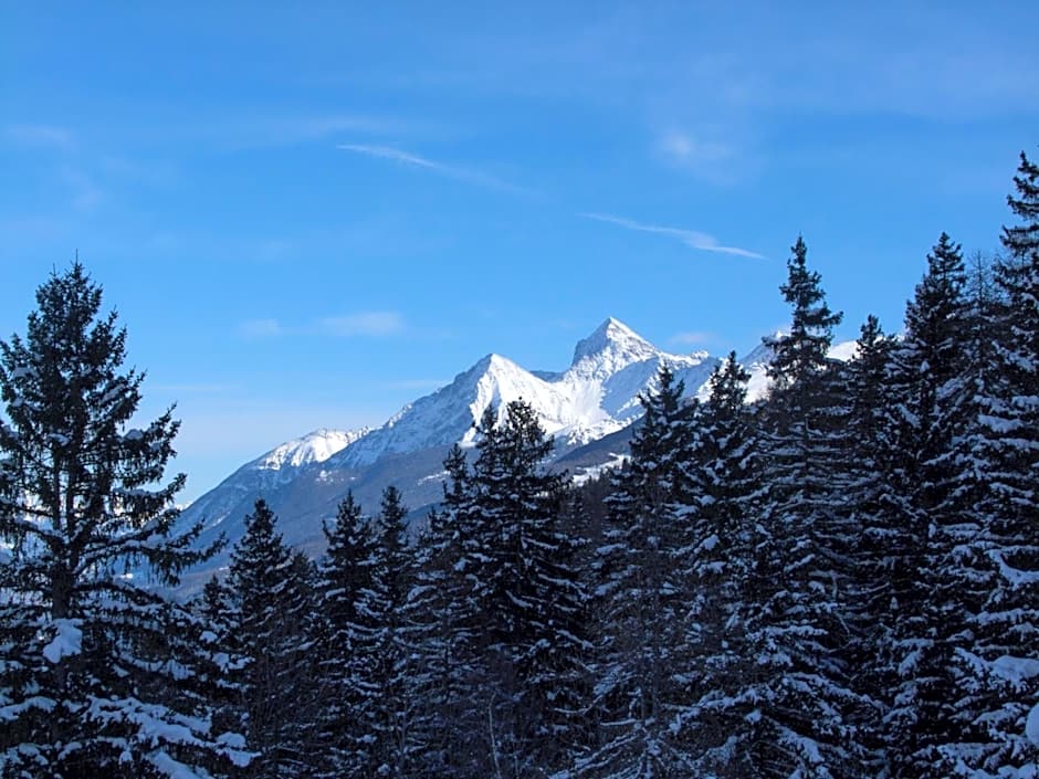 Le Renard d'Introd