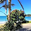 Kiwi House Waiheke