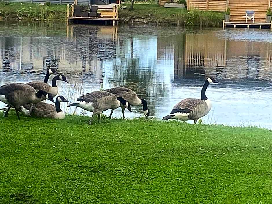 16 Lake View, Pendle View Holiday Park, Clitheroe