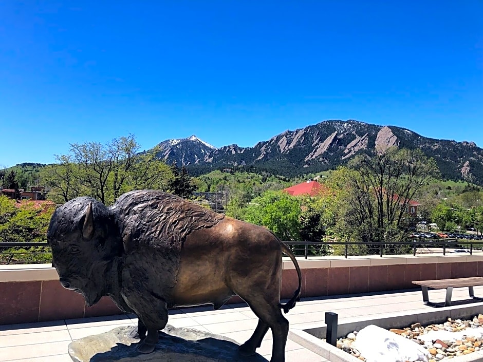 Best Western Plus Boulder Inn